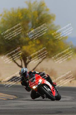 media/Apr-12-2025-Race Pace (Sat) [[9230add55f]]/Vested/6-Turn 4 Tree of Life (115pm)/